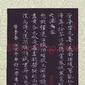 陶诗江 硬笔楷书作品《帝台春一首》图片欣赏