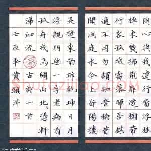 黄镇洋 硬笔楷书作品《古诗二首》图片欣赏
