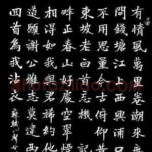 丁宁 硬笔楷书作品《苏轼八声甘州词》图片欣赏