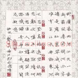陶诗江 硬笔楷书作品《柳永词八声甘州》图片欣赏