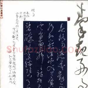 陈舟波 硬笔草书作品《秦观词好事近》图片欣赏