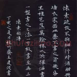 贺建波 硬笔楷书作品《怀素别传》图片欣赏