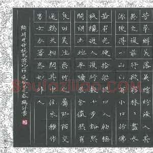黄镇洋 硬笔楷书作品《陶渊明桃花源记节录》图片欣赏