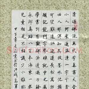 高军(成人组)硬笔书法大赛 入围作品选登图片欣赏