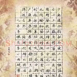 李小雨(成人组 优秀奖)硬笔书法大赛 获奖作品图片欣赏