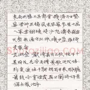 陶诗江 硬笔楷书作品《柳永词》图片欣赏