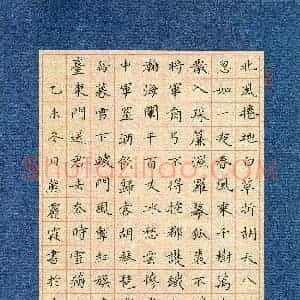 熊丽霞(成人组 优秀奖)硬笔书法大赛 获奖作品图片欣赏