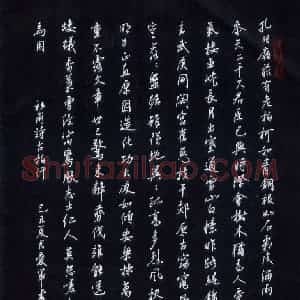 花爱军 硬笔行书作品《杜甫诗古柏行》图片欣赏