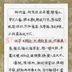 卓畅(少儿组 10岁 金奖)硬笔书法大赛 获奖作品图片欣赏