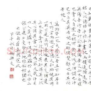 杨兴文(成人组)硬笔书法大赛 入围作品选登图片欣赏