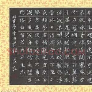 刘东红 硬笔楷书作品《杜甫诗梦李白节录》图片欣赏