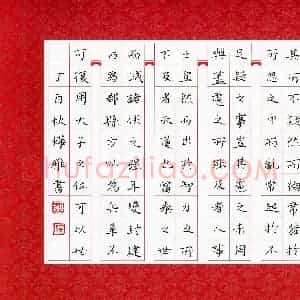 谢烨雅(少儿组 11岁 银奖)硬笔书法大赛 获奖作品图片欣赏