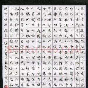 丁一(少儿组 8岁 金奖)硬笔书法大赛 获奖作品图片欣赏