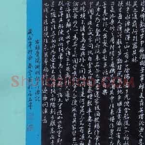 花爱军 硬笔行书作品《桃花源记》图片欣赏