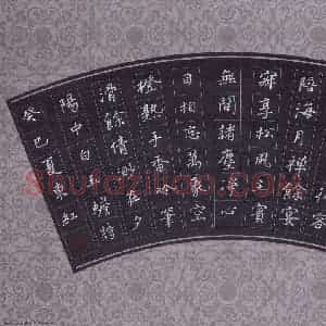 刘东红 硬笔楷书作品《白玉蟾诗》图片欣赏