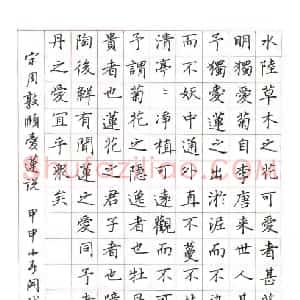 黄开诚 硬笔楷书作品《周敦颐爱莲说》图片欣赏