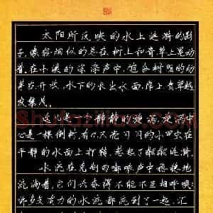 顾轩睿(少儿组 10岁 银奖)硬笔书法大赛 获奖作品图片欣赏