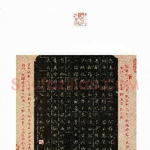 张楚(成人组 优秀奖)硬笔书法大赛 获奖作品图片欣赏