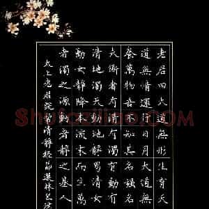 林昱津(少儿组 11岁 银奖)硬笔书法大赛 获奖作品图片欣赏