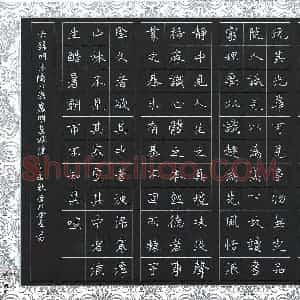 蔡金星 硬笔楷书作品《菜根潭节选》图片欣赏