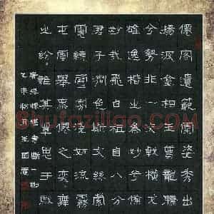 王国灵(成人组 优秀奖)硬笔书法大赛 获奖作品图片欣赏