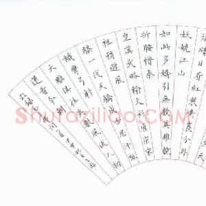 陈文彪 硬笔楷书作品《毛泽东词一首》图片欣赏