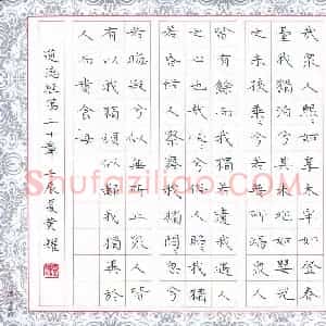 黄福耀 硬笔楷书作品《道德经第二十章》图片欣赏