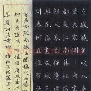 陈伟 硬笔楷书作品《姜夔词淡黄柳》图片欣赏