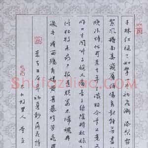 李立 硬笔行书作品《落花诗两首》图片欣赏