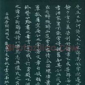 赵家祥 硬笔楷书作品《陶渊明文》图片欣赏