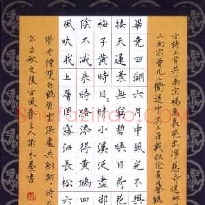 谢木养(成人组)硬笔书法大赛 入围作品选登图片欣赏