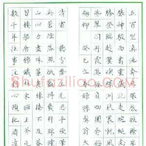 毛思平 硬笔楷书作品《大观园长联》图片欣赏