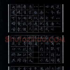 黄开诚 硬笔楷书作品《李白诗访道安陵遇盖还为余造真箓临别留赠》图片欣赏