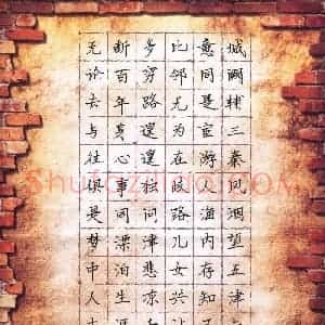 杨志民(成人组)硬笔书法大赛 入围作品选登图片欣赏