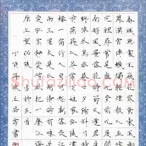 王若霏(少儿组 12岁 银奖)硬笔书法大赛 获奖作品图片欣赏