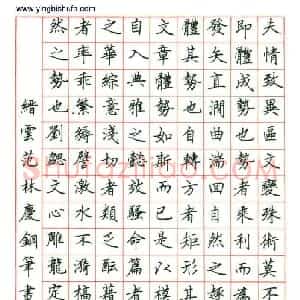 范林庆 硬笔楷书作品《文心雕龙定势章选段》图片欣赏