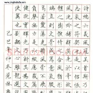 范林庆 硬笔楷书作品《文心雕龙选段》图片欣赏