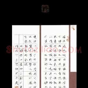 侯炫同(少儿组 9岁 银奖)硬笔书法大赛 获奖作品图片欣赏