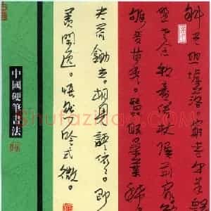 李忠燊 硬笔行书作品《王维渭川田家一首》图片欣赏