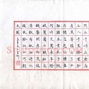 姚建林(成人组)硬笔书法大赛 入围作品选登图片欣赏