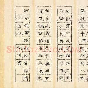 施俊(少儿组 11岁 银奖)硬笔书法大赛 获奖作品图片欣赏