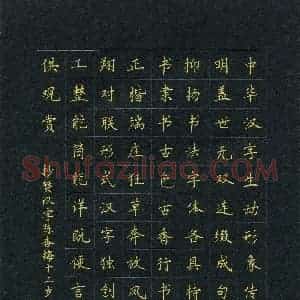 陈杏梅(少儿组 12岁 金奖)硬笔书法大赛 获奖作品图片欣赏