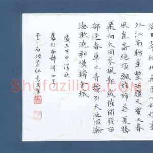袁茂康 硬笔楷书作品《西部颂》图片欣赏