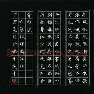 许诺(少儿组 16岁 银奖)硬笔书法大赛 获奖作品图片欣赏
