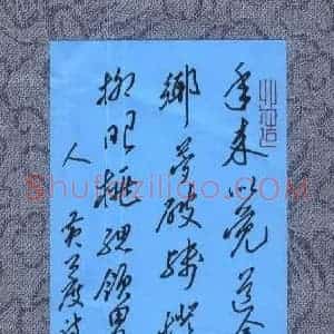 叶亦斌 硬笔行草作品《黄公度诗一首》图片欣赏