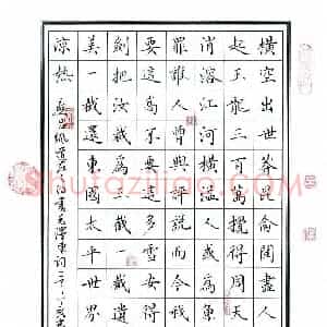 丁谦 硬笔楷书作品《毛泽东词》图片欣赏