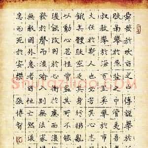 张博智(少儿组 13岁 银奖)硬笔书法大赛 获奖作品图片欣赏