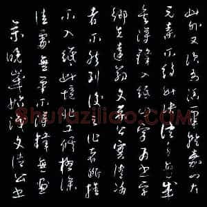 雷金鹏 硬笔草书作品《萧退庵论书选》图片欣赏
