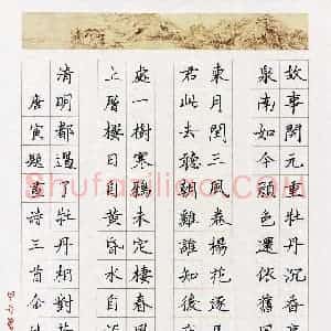 金佳怡(少儿组 15岁 银奖)硬笔书法大赛 获奖作品图片欣赏