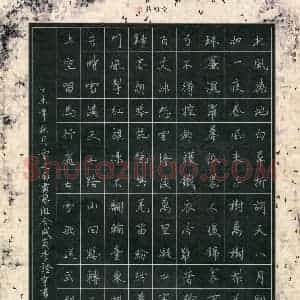 李证宇 硬笔楷书作品《岑参诗一首》图片欣赏
